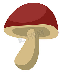 毕业季简笔矢量摄影照片_森林蘑菇，插图，白色背景上的矢量
