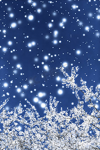 花花背景促销摄影照片_圣诞节、新年蓝色花卉背景、节日贺卡设计、花树和雪花作为豪华美容品牌的冬季促销背景