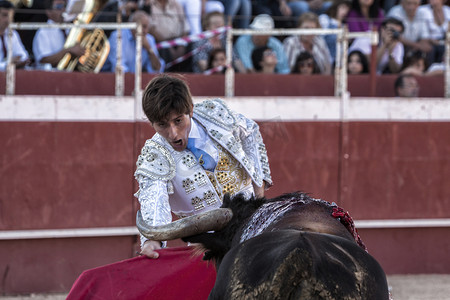 2009 年 10 月 11 日，西班牙安达卢西亚哈恩省 Beas de segura 斗牛场，斗牛士阿尔贝托·拉梅拉斯 (Alberto Lamelas) 斗牛，召唤公牛攻击你的下一个传球拐杖