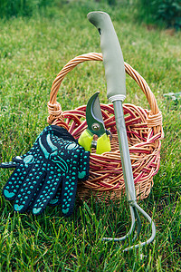 花园里带柳条篮的小手花园耙、修枝机和手套