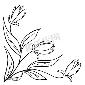 手绘花卉花叶插画，黑白优雅婚礼装饰品，线条艺术极简主义纹身风格设计夏春自然枝叶开花。