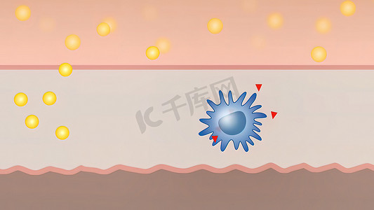 巨噬细胞和细胞的 3D 医学插图