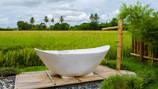 寄宿摄影照片_泰国中部有稻田的生态农场寄宿，雨季期间有稻田