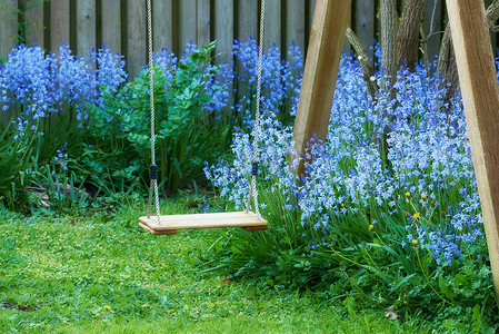 盛开的花园摄影照片_有趣的花园秋千，常见的蓝铃花在私人、僻静的家庭后院的绿色茎上生长和开花。