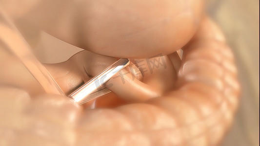 肠道设计摄影照片_肠道工作的逼真 3D 医疗