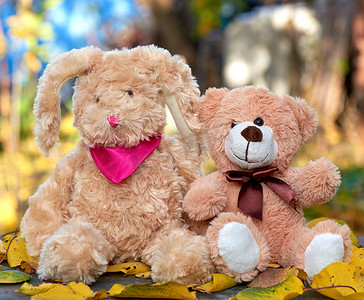 兔子小熊摄影照片_长耳朵的小泰迪兔子和一只泰迪熊坐在我身上