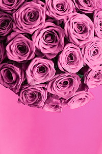 豪华紫玫瑰花束，鲜花盛开，作为花卉假日背景