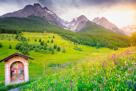 春天，瑞士阿尔卑斯山恩加丁的塔拉斯普有五颜六色的野花和草地