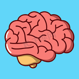 人类大脑的卡通插图