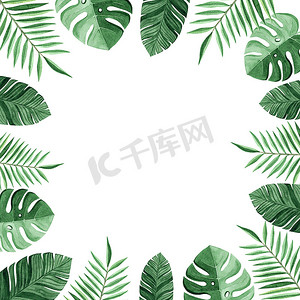 水彩方形框架与热带树叶隔离在白色背景。