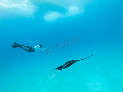 盘旋的巨型海洋蝠鲼、Manta Birostris 和在蓝色海洋中自由潜水的人的水下视图。