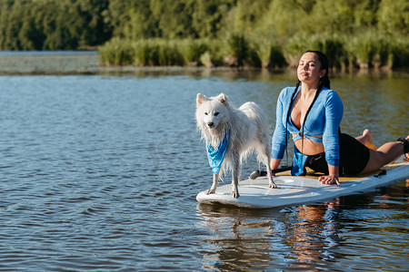 雪白的日本斯皮茨狗站在 Sup 板上，女人和她的宠物在城市湖上划桨时做伸展运动