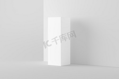 箱样机摄影照片_长矩形框白色空白 3D 渲染样机