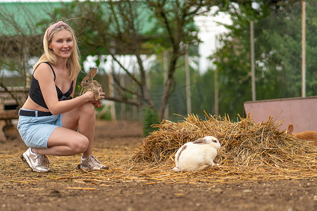 女孩欧芹棕兔喂复活节兔子白色蓬松健康的概念组，从毛茸茸的家养、野性的眼睛中快乐地坐着。