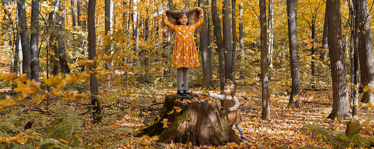 在公园复制空间里用秋橙叶横幅小女孩。