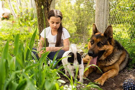 快乐的小女孩在花园里和两只狗玩耍。