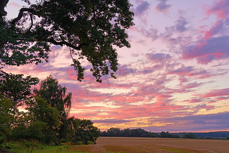 色彩缤纷的喜怒无常的天空的复制空间在暮色中闪耀着粉红色和紫色的光芒，多云的背景在乡村树木丛生的田野上。