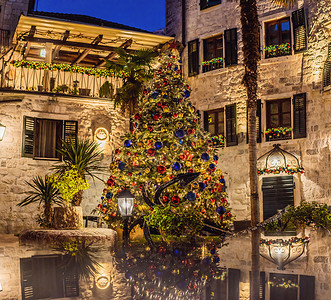 的灯光摄影照片_节日圣诞树在晚上用多色灯光装饰。