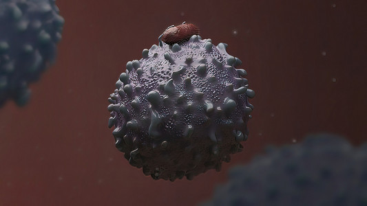 巨噬细胞吞噬作用的 3D 医学插图。