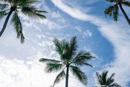 迈阿密摄影照片_日落天空耀斑和散景自然背景上的热带棕榈椰子树。