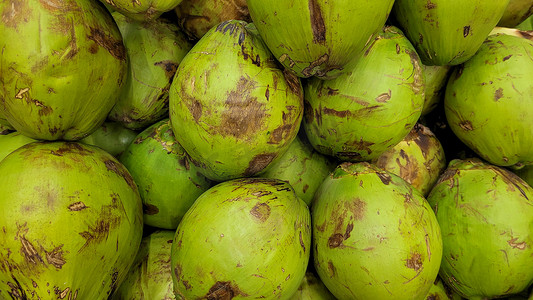 巴西内陆市场出售的椰子图片