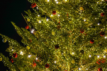 圣诞摄影照片_皮卡皮基发光圣诞树（圣诞市场）