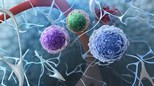 先天性淋巴样细胞分泌效应细胞因子，是 T 细胞的先天对应物。