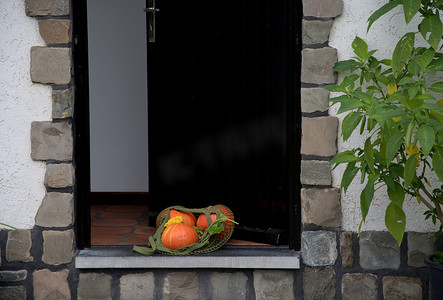 敞开的门的门槛上放着一张装有成熟橙色南瓜的网