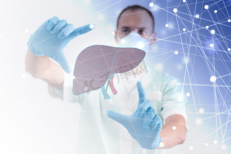 男性医生手中触摸虚拟肝脏。