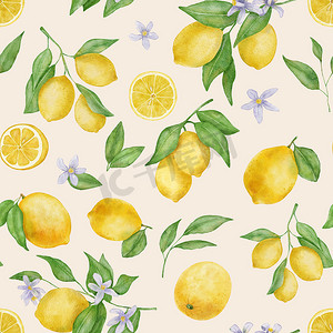 无缝背景叶摄影照片_米色背景上带叶和花水彩无缝图案的柠檬果