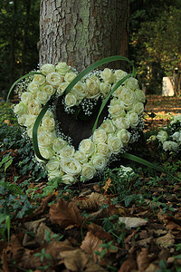 墓地树旁白玫瑰制成的心形同情花