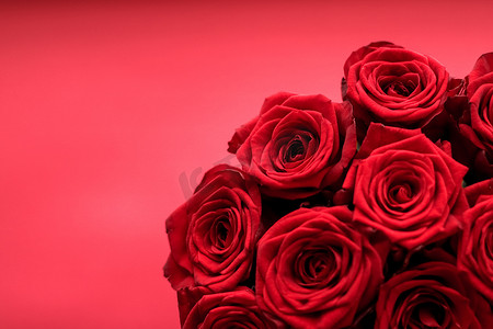 七夕礼物摄影照片_华丽的红玫瑰花束，盛开的花朵作为花卉节日背景