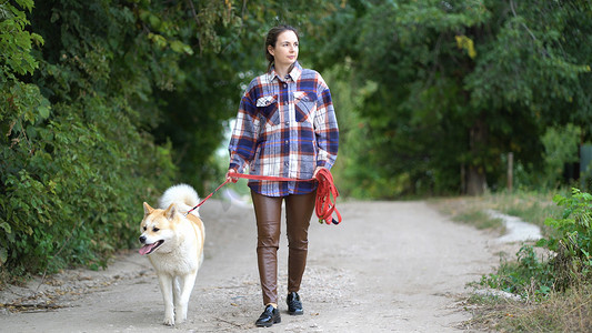 女孩用皮带牵着她的狗秋田犬在街上散步。