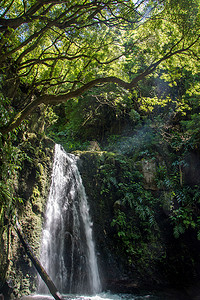 格雷福斯摄影照片_步行并探索亚速尔群岛圣米格尔岛的普雷戈萨尔托瀑布