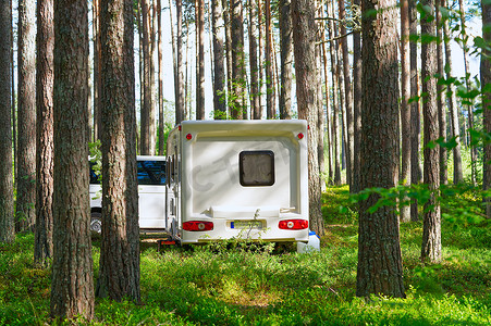 白色大篷车拖车停在松林的绿色草坪上。