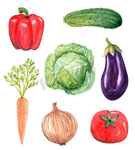 水彩手绘蔬菜集隔离在白色背景。