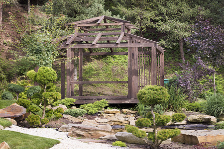 木制凉亭周围环绕着盆景树，日本石花园中的松树