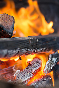 橙色火焰燃烧木头，特写镜头的火燃烧木头。