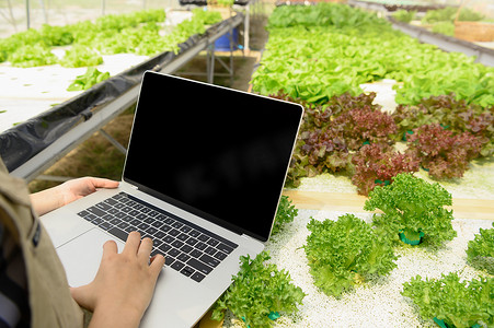 特写水培女农手收集蔬菜生长信息，并使用笔记本电脑上传数据给客户进行在线交易销售。
