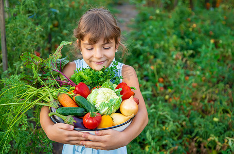 一个孩子手里拿着收获的蔬菜。