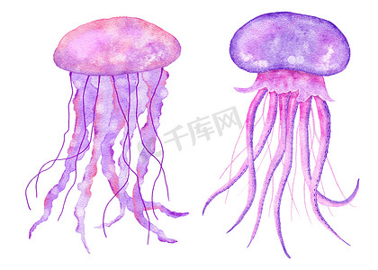 卡通海洋海洋动物摄影照片_蓝色绿松石紫色水母、海洋水下野生动物的水彩插图。