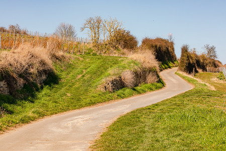 延伸的乡村小路摄影照片_一条农田小道在田地之间蜿蜒向上，一直延伸到地平线