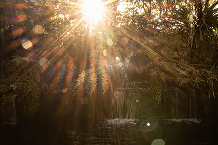 复古复古效果过滤了热带瀑布与太阳光线的时髦风格图像。