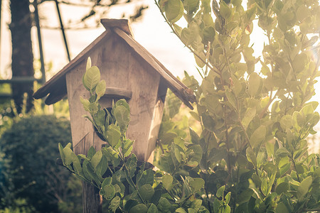 木制室外花园鸟类木巢屋在花园里筑巢。