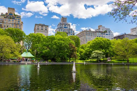 纽约中央公园温室水池微型遥控帆船