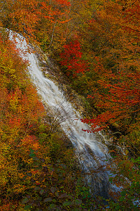 瀑布群摄影照片_尺扬瀑布和秋叶（四万十湖）