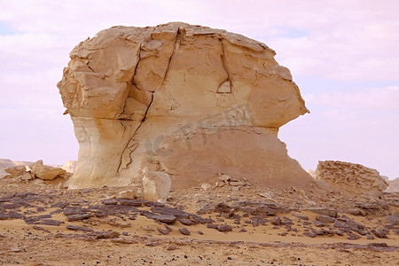 埃及惠特沙漠雕像