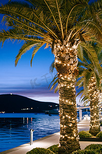 黑山海边的椰枣树装饰着圣诞节的花环，在夜晚夕阳蓝天的背景下。
