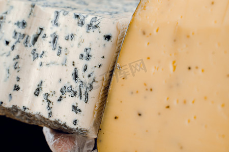 蓝纹奶酪和豪达，手中有意大利香草。