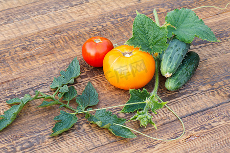 秋天木板背景摄影照片_整个黄瓜和西红柿，木板上有叶子